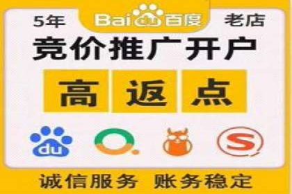 竞价SEM托管服务：成功案例揭秘